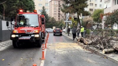 Kadıköy’de kaldırım üzerinde bulunan bir ağacın yola devrilmesi sonucunda kısa