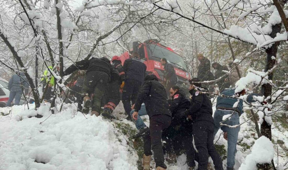 Sakarya ilinin Hendek ilçesinde meydana gelen trafik kazasında, kar nedeniyle