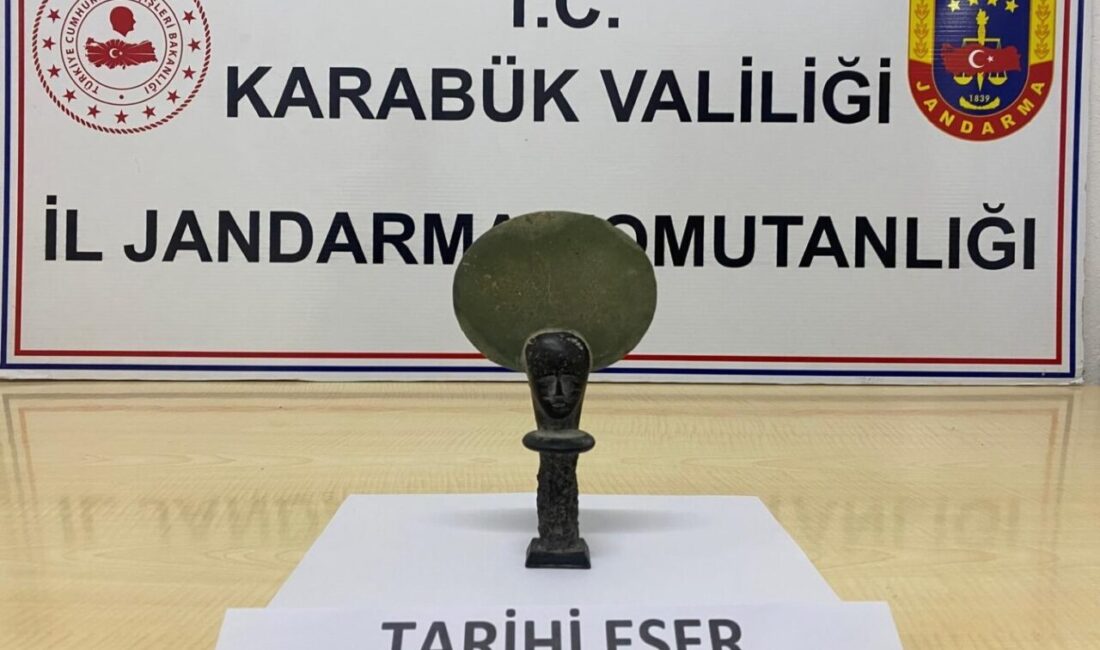 Karabük iline bağlı Safranbolu ilçesinde jandarma ekipleri tarafından gerçekleştirilen operasyonlarda,