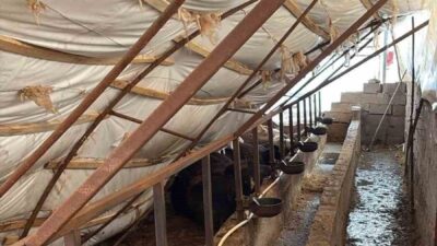Karabük ilinde şiddetli kar yağışının etkisiyle üzeri çadırla kaplı ahırların