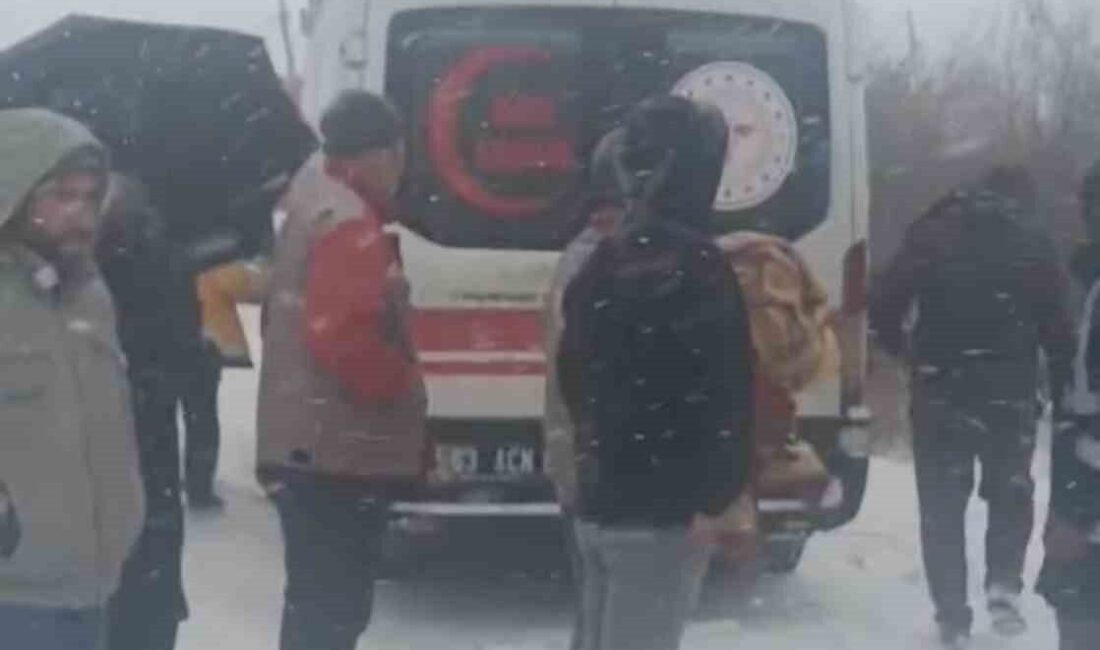 Siverek ilçesine bağlı Taşıkara kırsal mahallesinde yaşanan olayda, yoğun kar