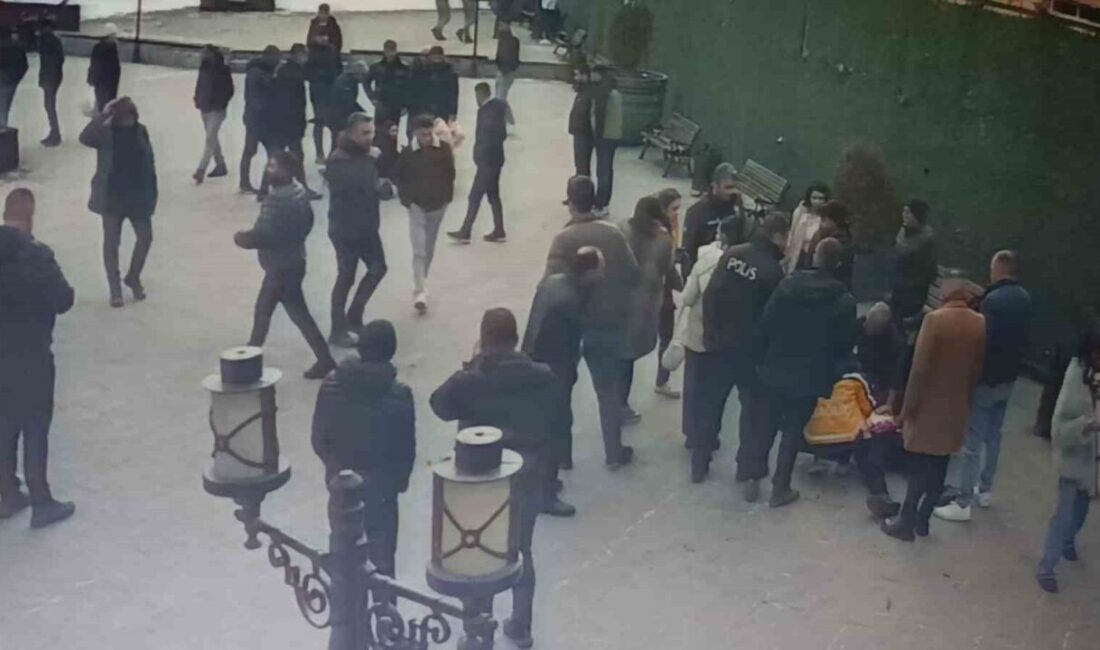 Kars şehir merkezinde Faikbey Caddesi’nde Valilik Parkı’nda meydana gelen olayda,