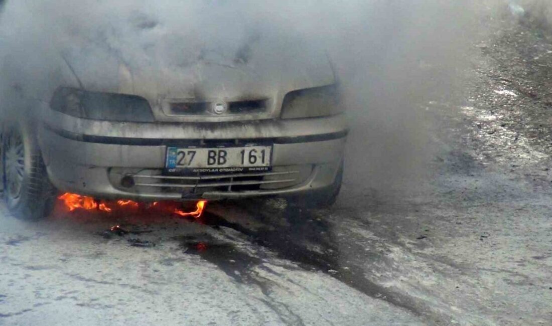 Kars’ta Selahattin Filtekin Caddesi’nde meydana gelen bir olayda, park halindeki
