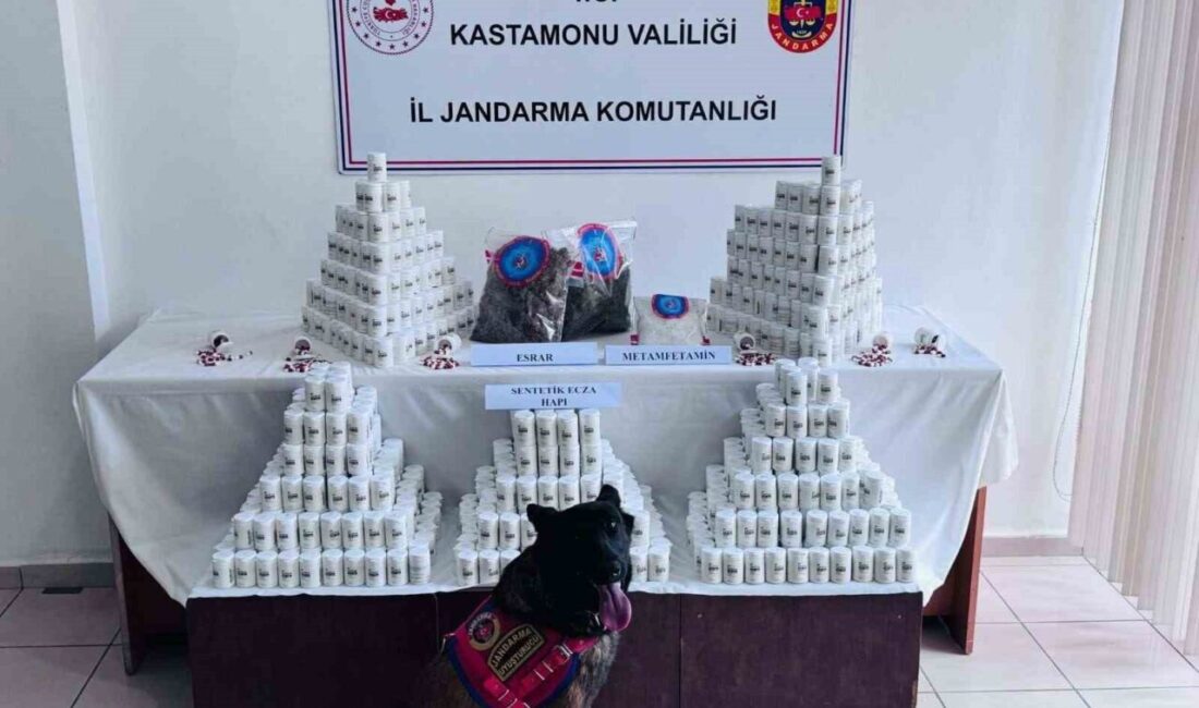 Kastamonu’da bir şüpheli, 69.407 adet sentetik ecza hapı, 975 gram