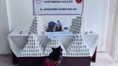 Kastamonu’da bir şüpheli, 69.407 adet sentetik ecza hapı, 975 gram
