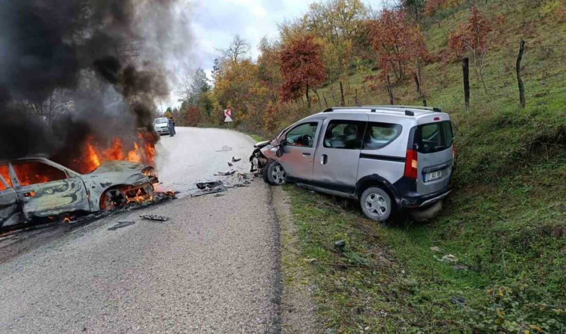 Kastamonu’nun Çatalzeytin ilçesinde meydana gelen trafik kazasında hafif ticari araç