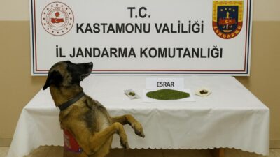Kastamonu’da jandarma ekipleri tarafından uyuşturucu madde bulundurmak suçundan gözaltına alınan