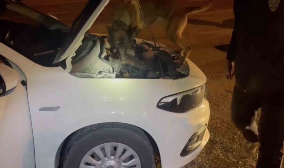 Kastamonu’da gerçekleştirilen operasyonda 2 araçta bulunan uyuşturucu maddeyle bağlantılı olarak