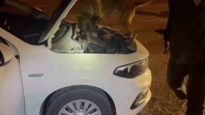 Kastamonu’da gerçekleştirilen operasyonda 2 araçta bulunan uyuşturucu maddeyle bağlantılı olarak