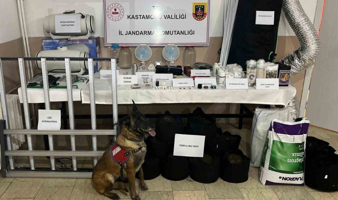 Kastamonu’da jandarma ekipleri tarafından yapılan uyuşturucu operasyonlarında 6 kişi gözaltına