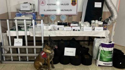 Kastamonu’da jandarma ekipleri tarafından yapılan uyuşturucu operasyonlarında 6 kişi gözaltına