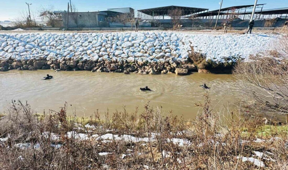 Şanlıurfa’da geçirdiği kaza sonucu tahliye kanalına devrilen araçtaki sürücü aranmaya