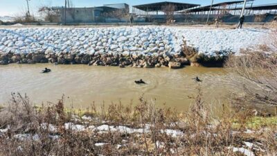 Şanlıurfa’da geçirdiği kaza sonucu tahliye kanalına devrilen araçtaki sürücü aranmaya