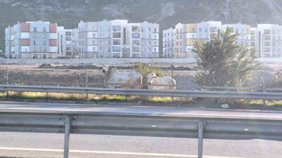 Hatay’da gerçekleşen kazada 2 kişi hayatını kaybetti ve kazadan kaçan