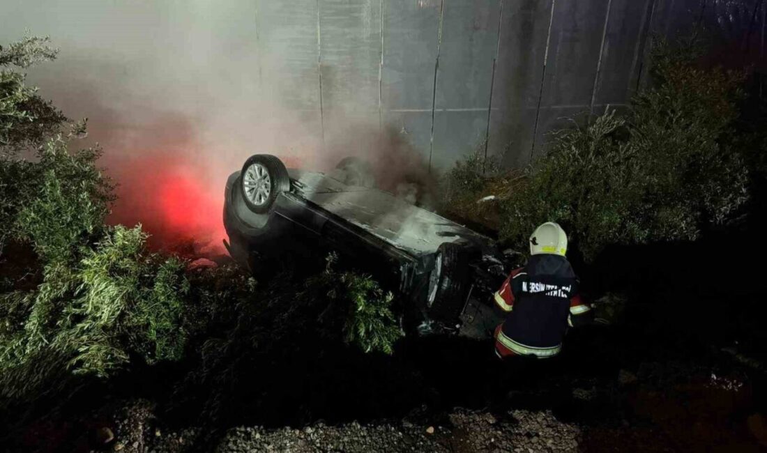 Mersin şehrinde, elektrikli bir aracın seraya çarparak devrilmesi sonucunda meydana