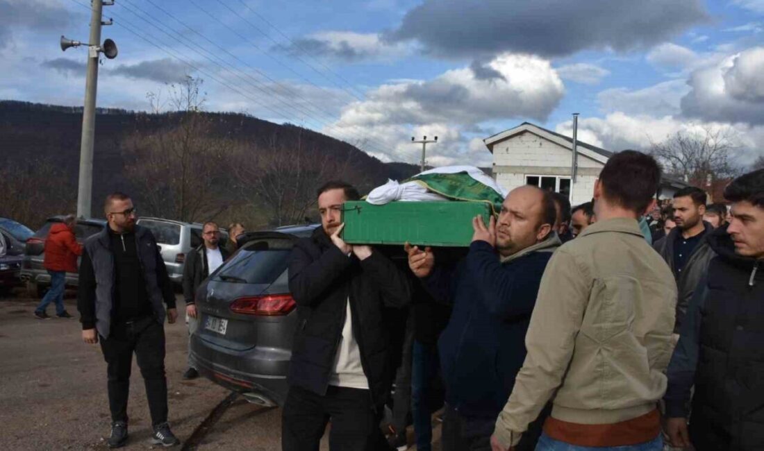 Hendek ilçesinde meydana gelen trafik kazasında ağır yaralanan ve hastanede
