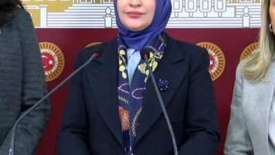 Çiğdem Erdoğan, Kadın Erkek Fırsat Eşitliği Komisyonu (KEFEK) Başkanı ve