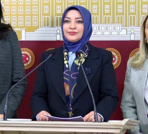 Çiğdem Erdoğan, Kadın Erkek Fırsat Eşitliği Komisyonu (KEFEK) Başkanı ve