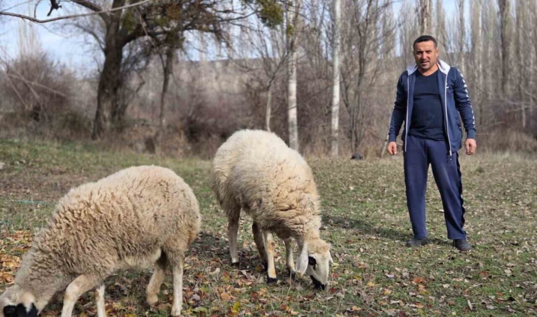 Yozgat’ın Sorgun ilçesine bağlı Araplı kasabasında yaşayan Erol Önal, ilginç