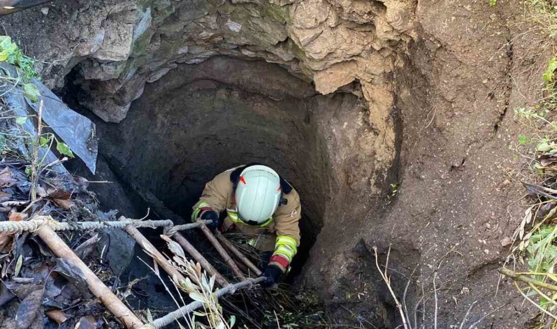 Manisa’nın Kırkağaç ilçesinde, 5 metre derinliğindeki bir su kuyusuna düşen