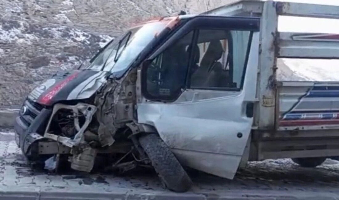 Hakkari’de bir kamyonetin aydınlatma direğine çarpması sonucunda bir kişi yaralandı.
