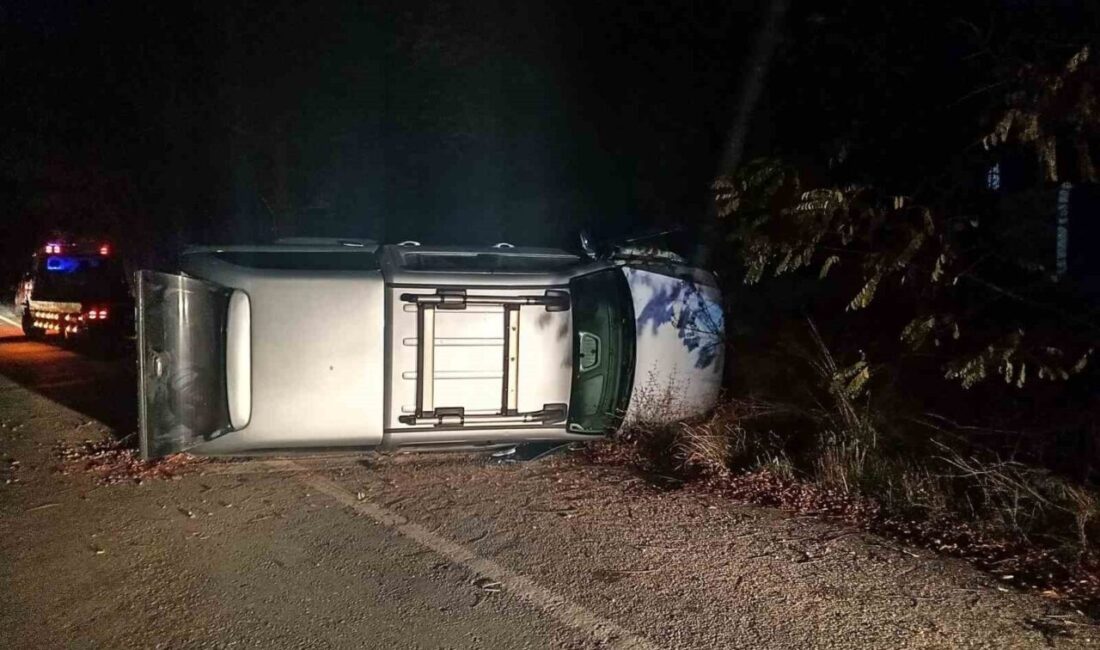 Bilecik’te yaşanan bir trafik kazasında seyir halindeki bir pikap aracı,