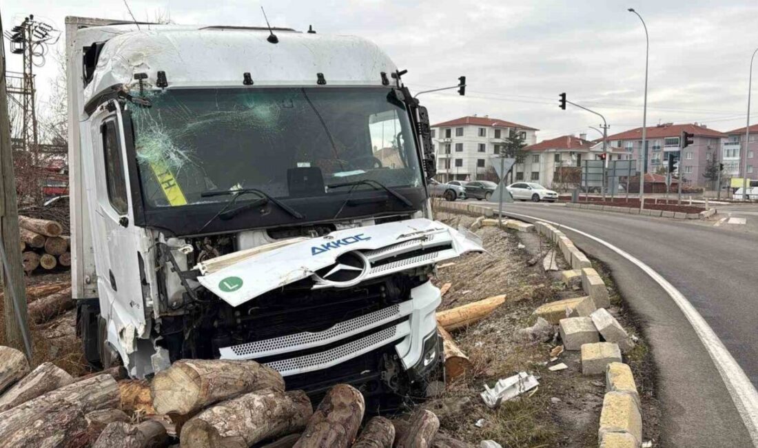 Afyonkarahisar’da meydana gelen bir trafik kazasında, bir tırın yol kenarındaki