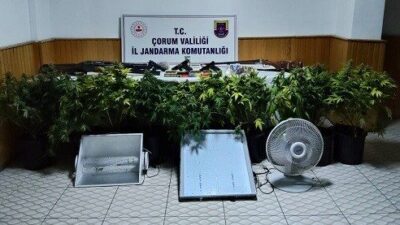 Çorum’da jandarma ekipleri tarafından gerçekleştirilen operasyonda, köy evinin bahçesine kurulan