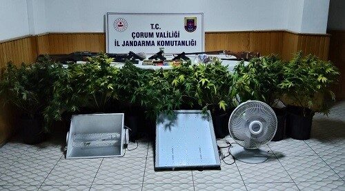 Çorum’da jandarma ekipleri tarafından gerçekleştirilen operasyonda, köy evinin bahçesine kurulan