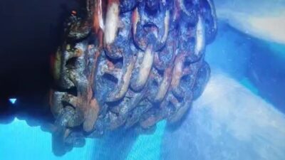 Küçükçekmece Demir Sahası’nda bulunan Türk bandıralı Alatepe tankerinin kurtarılması ve
