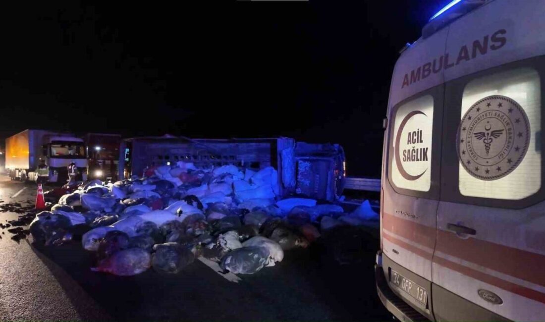 Kuzey Marmara Otoyolu’nda Çekmeköy bölgesinde bir kamyonetin arkadan çarpması sonucu