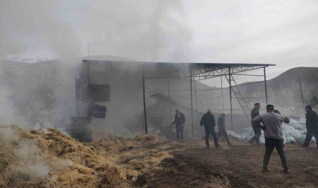 Malatya’nın Kuluncak ilçesinde bulunan bir besi çiftliğinde meydana gelen yangın,