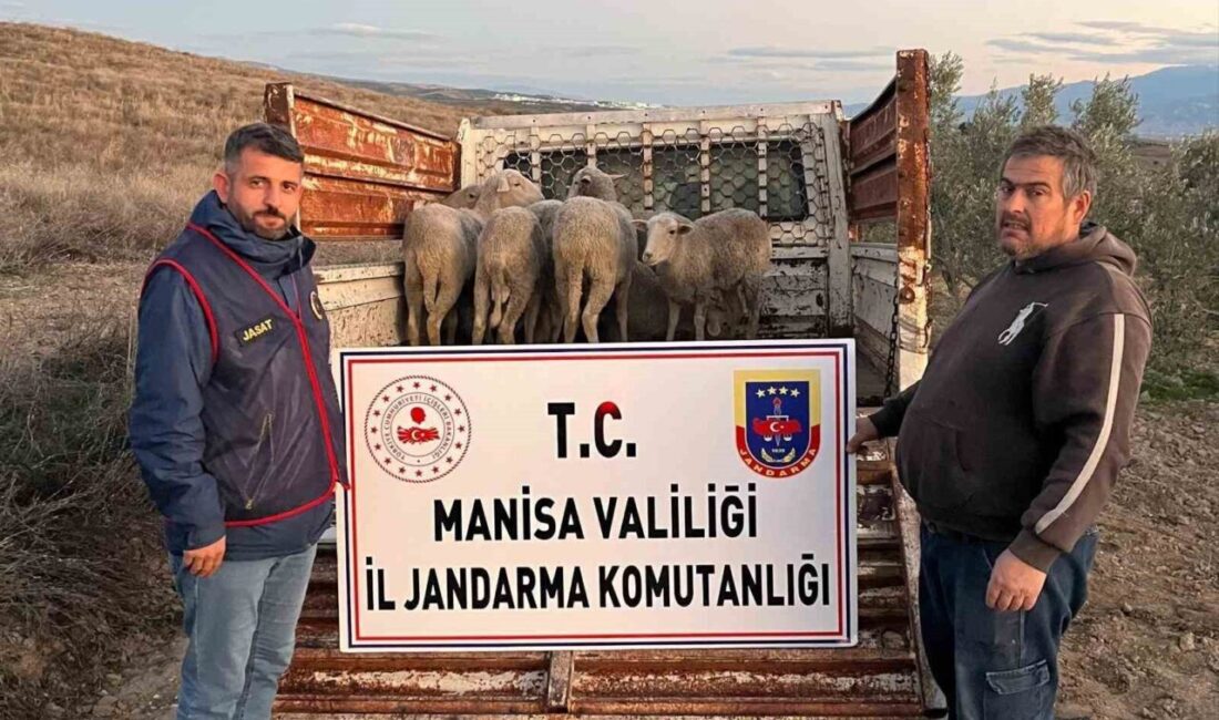Manisa’nın Salihli ilçesinde bir çiftçiye ait olan ve çalınan 8