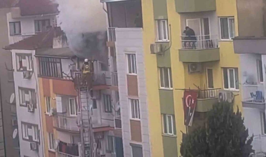Manisa’nın Şehzadeler ilçesinde meydana gelen ev yangınında 6 kedi hayatını