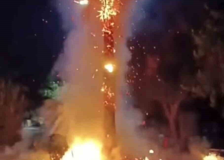 Mardin’in Kızıltepe ilçesinde yaklaşık 15 yıldır dikili olan bir palmiye