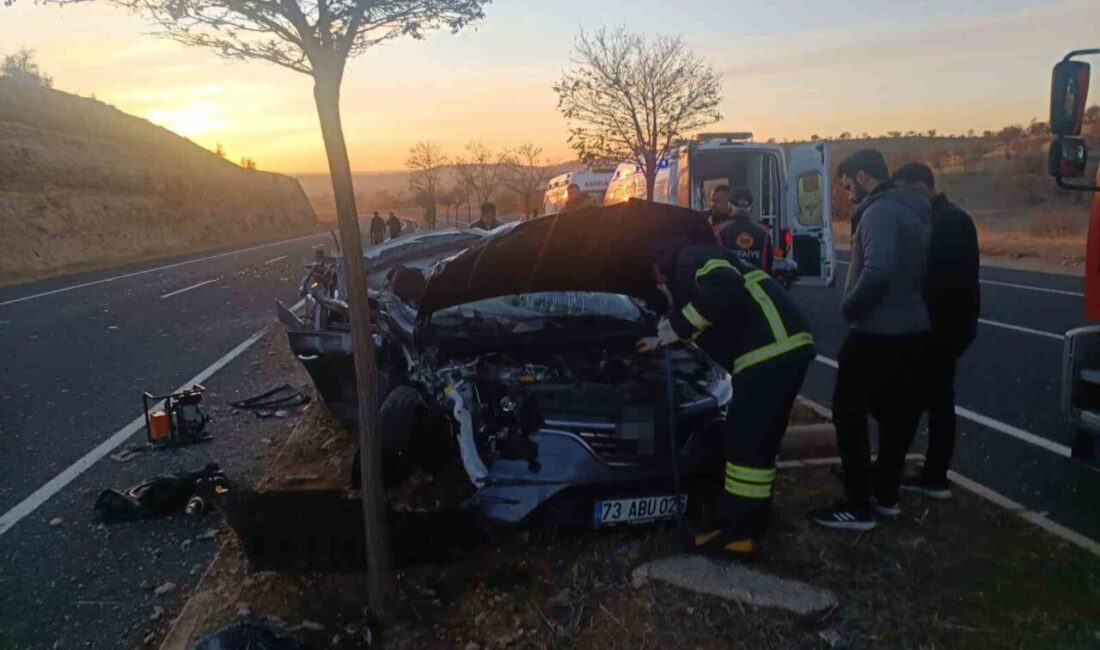 Mardin’de meydana gelen trafik kazasında bir kişi yaşamını yitirirken, 2