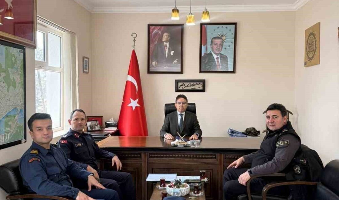 Muğla’nın Marmaris ilçesinde, yeni yıl öncesinde ilçe genelini kapsayacak şekilde