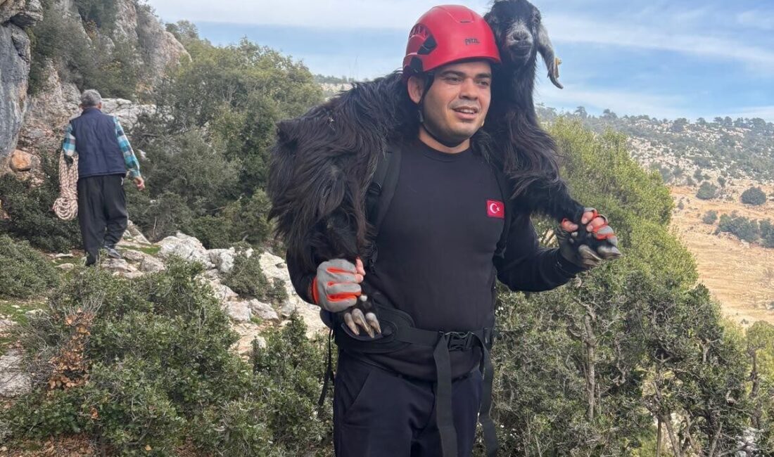 Mersin’de, Karahıdırlı Köyü Yaylası’nda mahsur kalan 2 keçi, itfaiye ekiplerinin