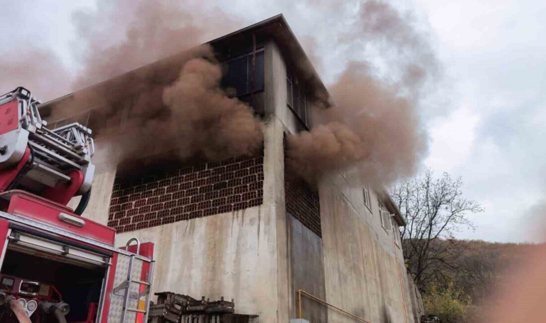 İnegöl ilçesinde bulunan 2 katlı bir apartmanın birinci katında bulunan