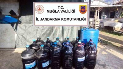 Muğla İl Jandarma Komutanlığı ekipleri, yeni yıla girilmeden önce Jandarma