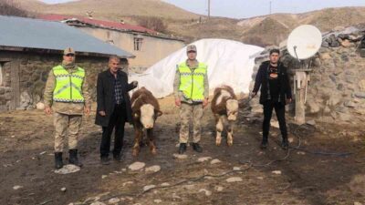 Muş’un Hasköy ilçesinde, Ş.T. isimli bir vatandaşın Yukarıüçdam köyündeki ahırından