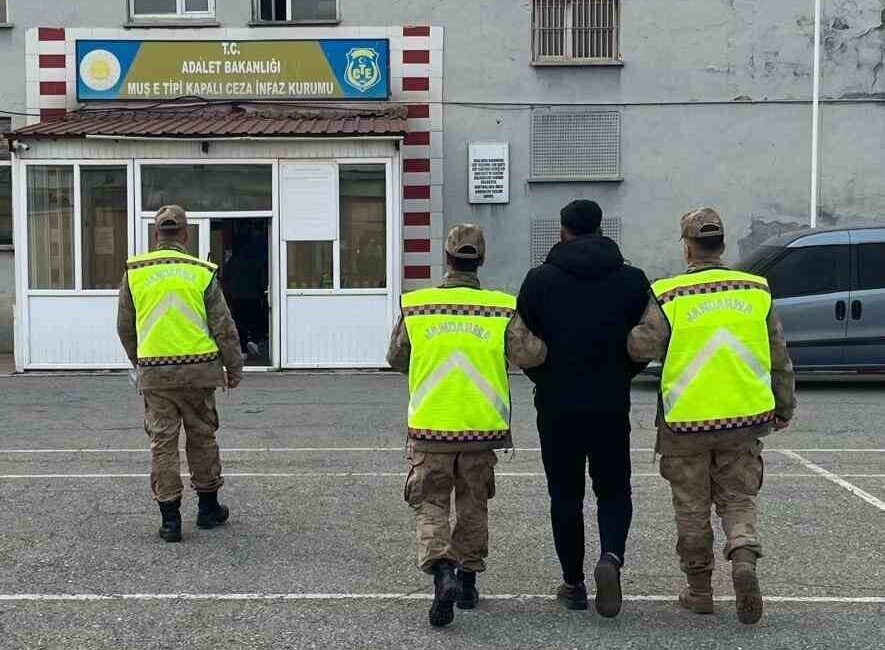 Muş İl Jandarma Komutanlığı’nın yürüttüğü operasyonlar sonucunda, dolandırıcılık suçundan aranan