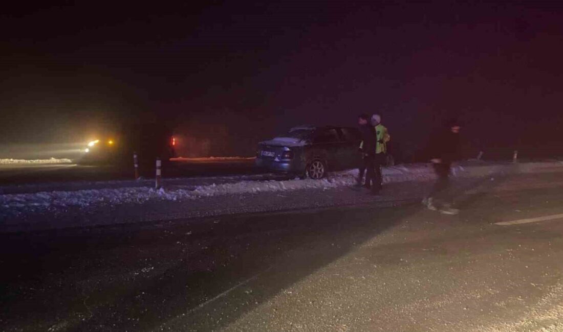 Muş-Bitlis karayolunda meydana gelen trafik kazasında, bir otomobil yoğun sis