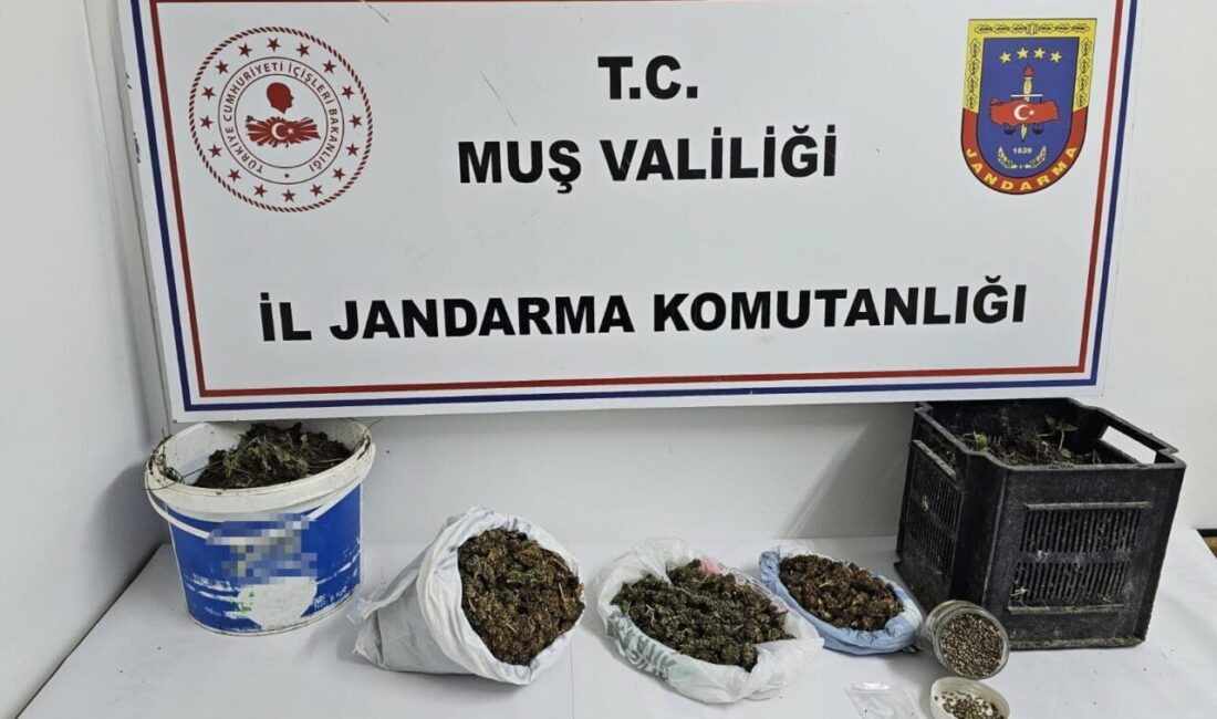 Muş’ta jandarma ekipleri tarafından bir adrese düzenlenen operasyonda 1 kilo