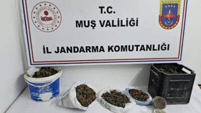 Muş’ta jandarma ekipleri tarafından bir adrese düzenlenen operasyonda 1 kilo