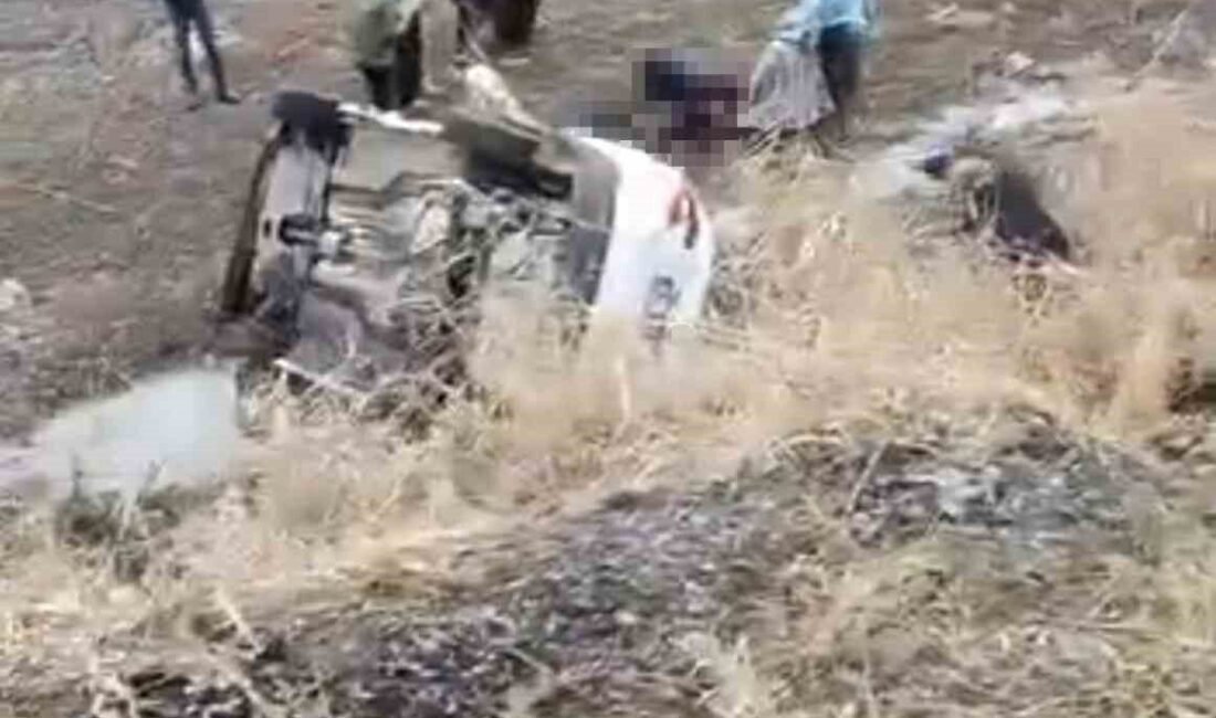 Muş-Bulanık karayolunda meydana gelen zincirleme kaza sonucunda bir kişi yaşamını