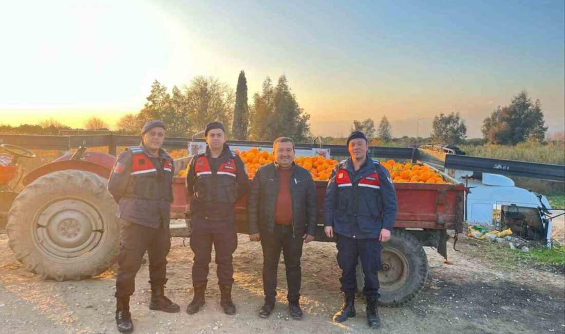 Nazilli ilçesinde, Pirlibey Mahallesi’ndeki bir bahçeden çalınan yaklaşık 1,5 ton