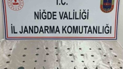 Niğde İl Jandarma Komutanlığı tarafından yürütülen faaliyetler kapsamında, tarihi eser
