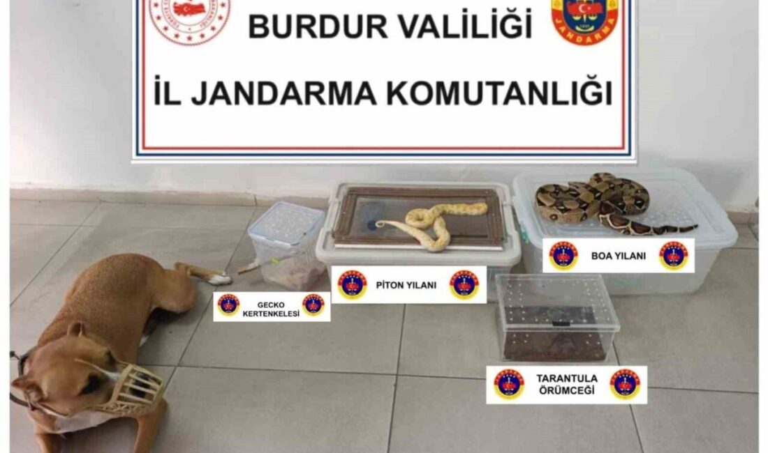 Burdur ilindeki bir operasyonda jandarma ekipleri, bir evde yaptıkları aramalarda