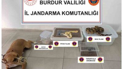 Burdur ilindeki bir operasyonda jandarma ekipleri, bir evde yaptıkları aramalarda